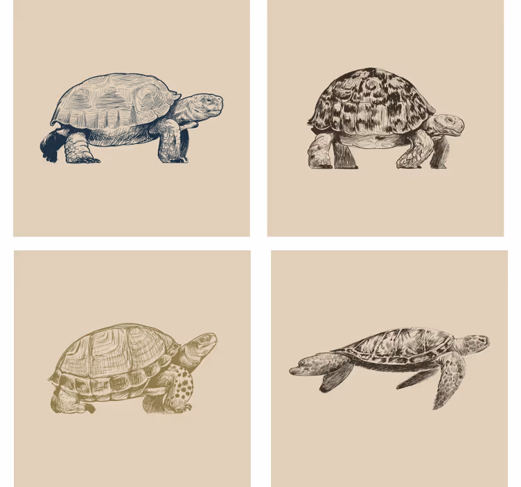Vintage lasinalunen retro kilpikonnakuvitukset - Tenstickers