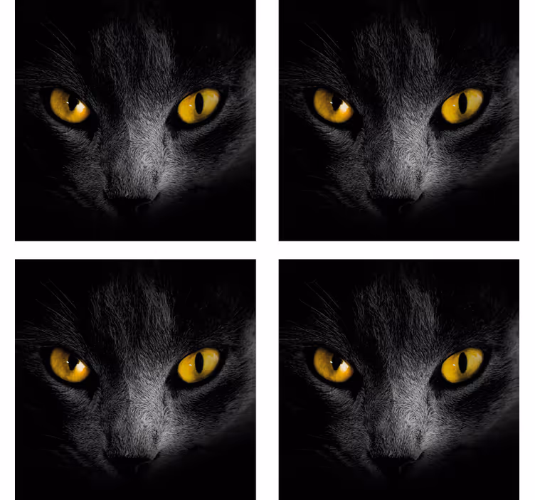 Musta kissa halloween lasinalunen - Tenstickers