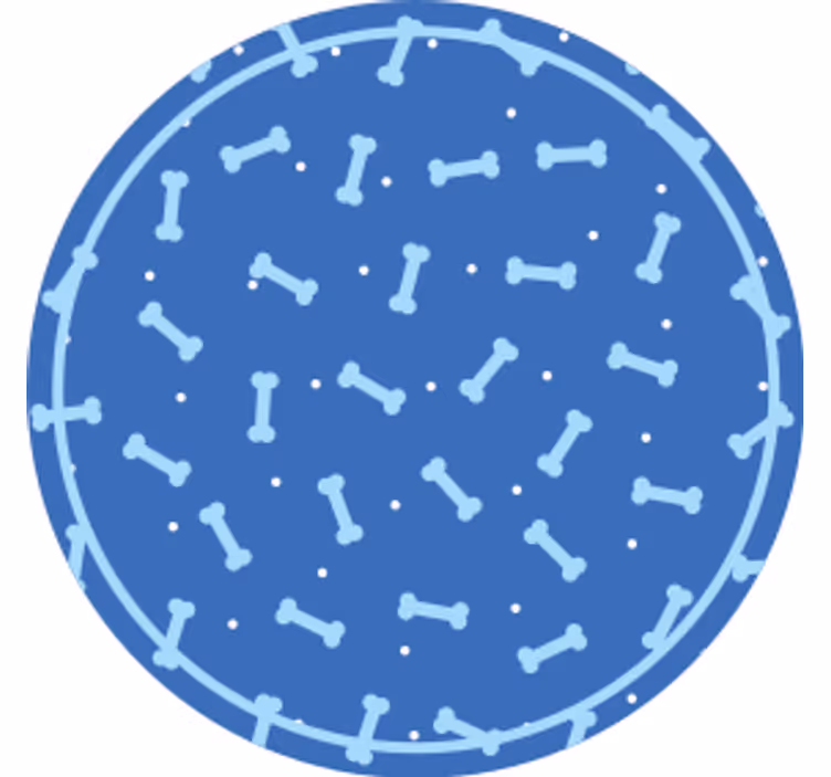 Luukuvioinen ympyrälasinalunen - Tenstickers