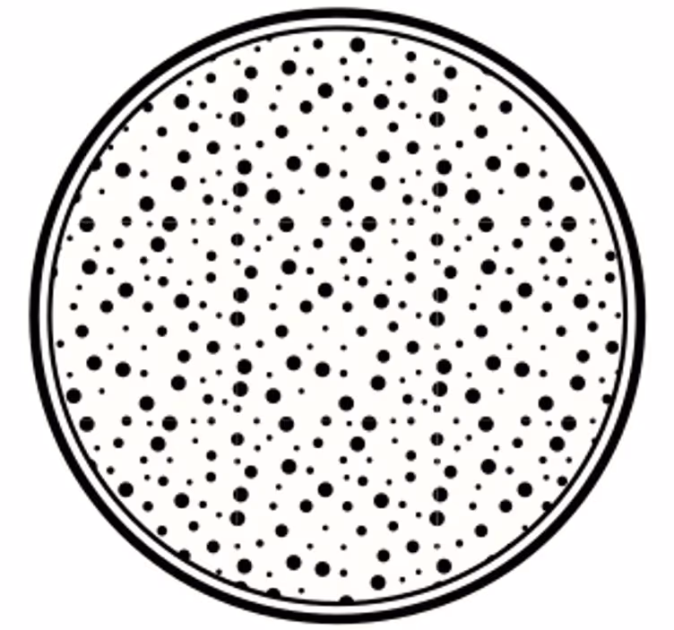 Mustapistekuvioinenlasinalunen - Tenstickers