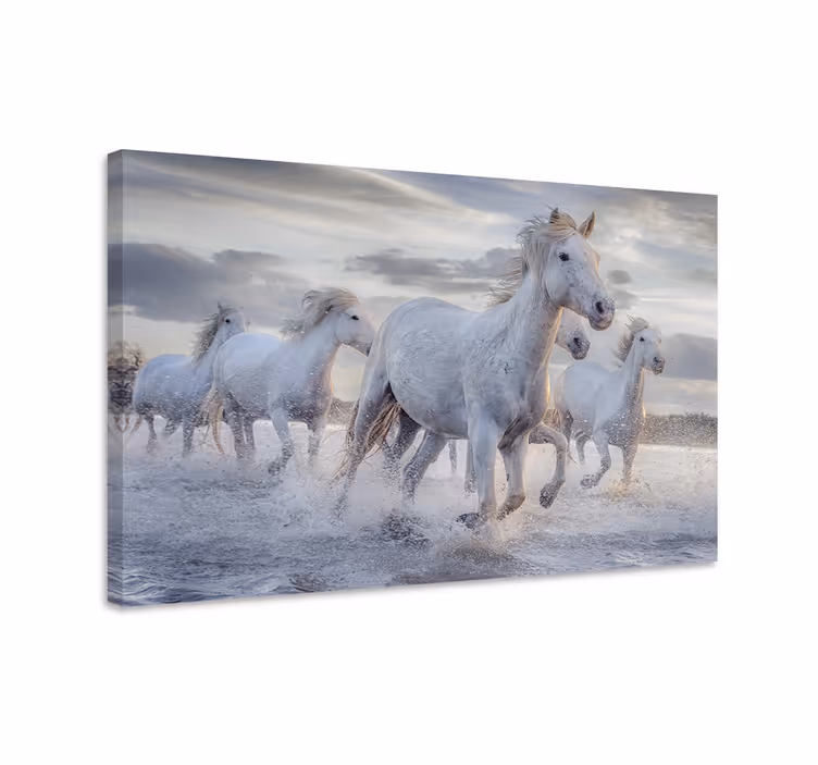 Hevoset juomassa canvas taulu - Tenstickers