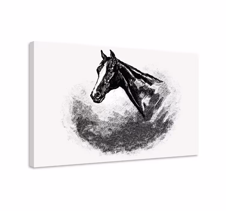 Hevos canvas taulu grafiittihevoset - Tenstickers