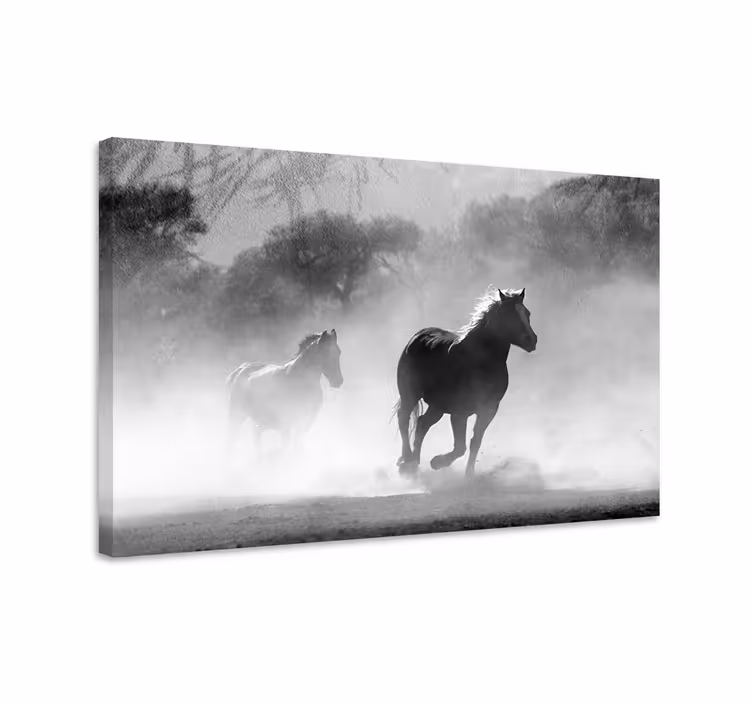 Valkoinen ja musta hevonen canvas-taulu - Tenstickers