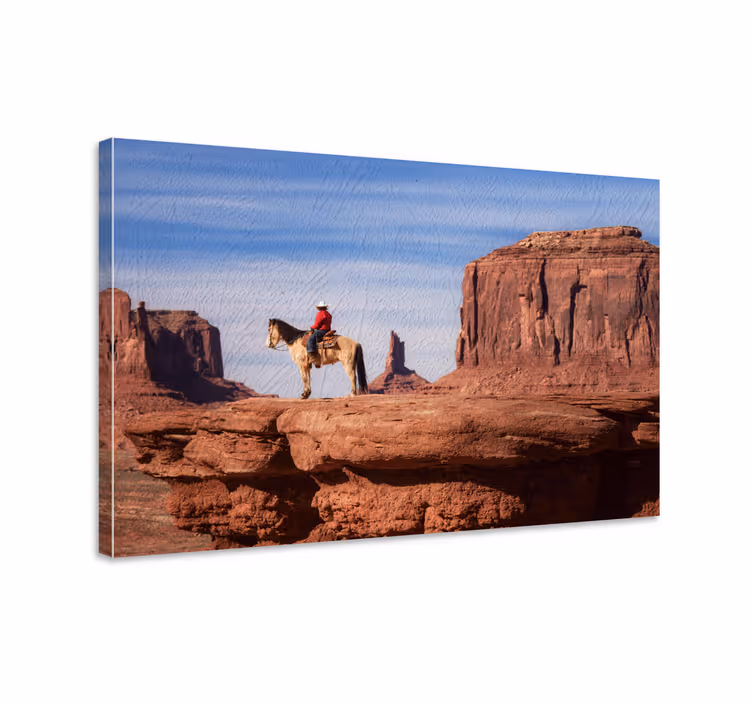 Hevosten kanjoni maalaus canvas taulu - Tenstickers