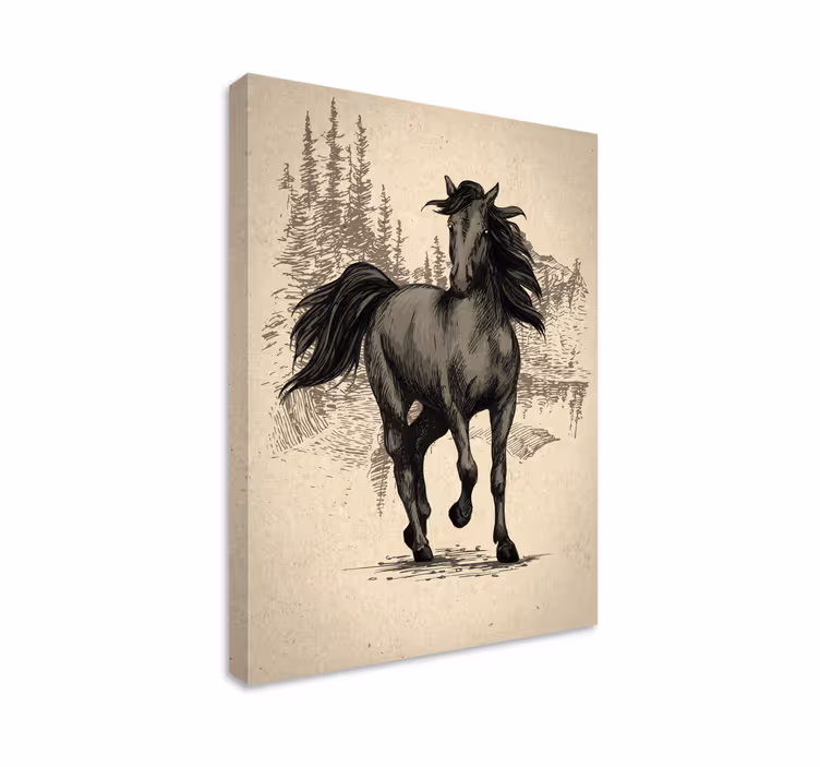 Hevos canvas taulu piirrä hevonen - Tenstickers