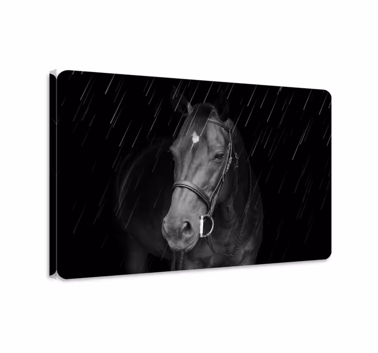 Arvokas hevonen sateessa canvas-taulu - Tenstickers