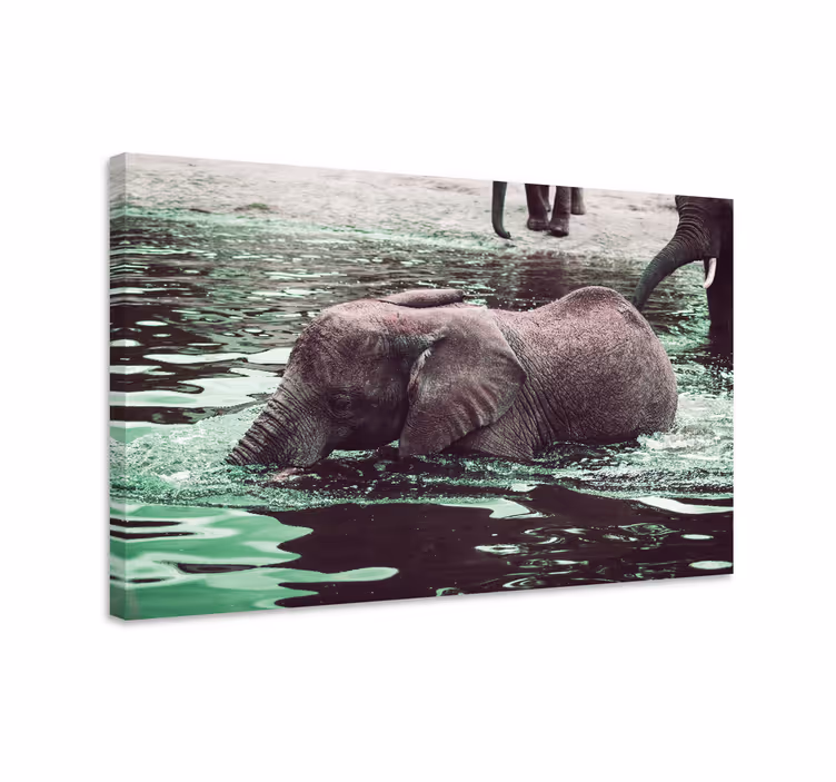 Juovaiset vauhnorsut canvas-taulu - Tenstickers