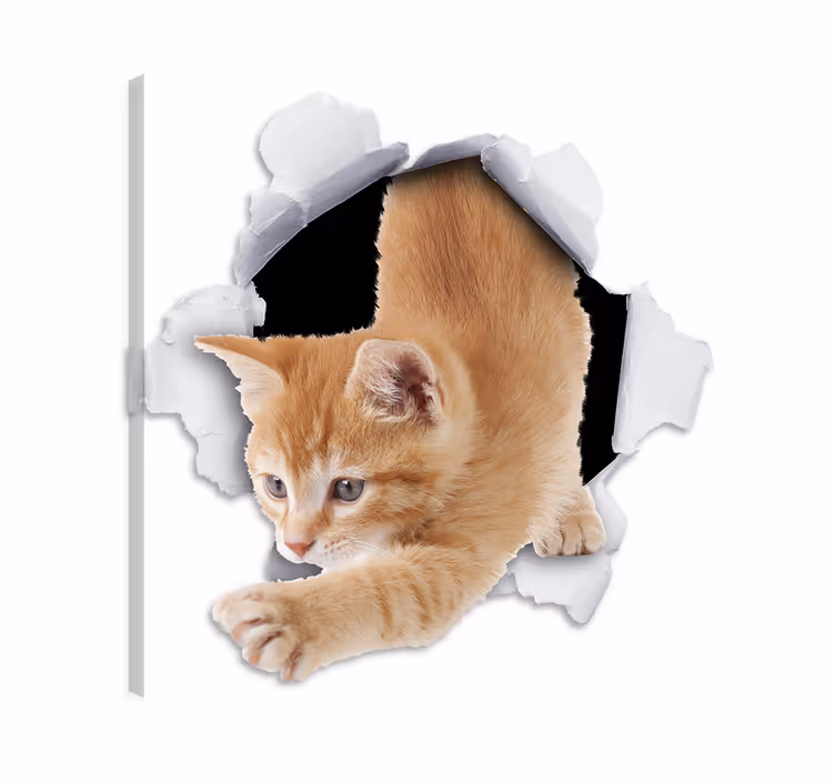 Kissa canvas seinäkoriste - Tenstickers