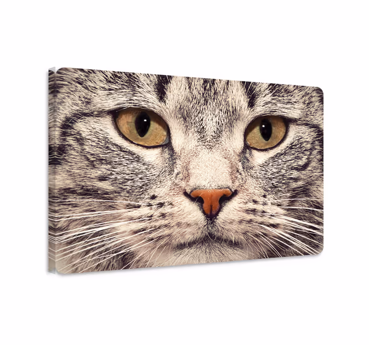 Kissa canvas läppäristicker - Tenstickers