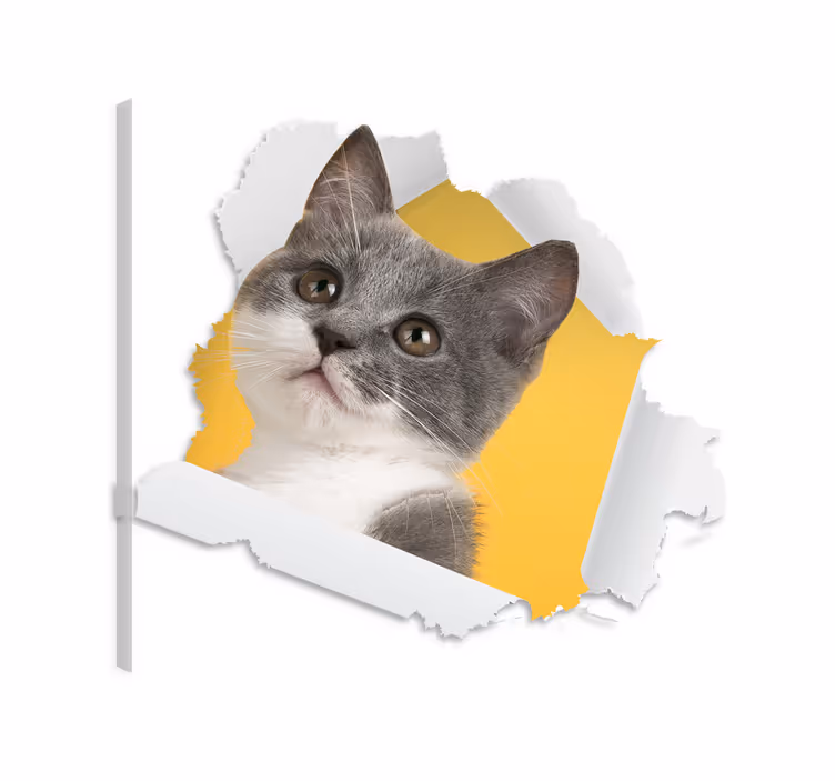 Kissa canvas 3d kissatarra - Tenstickers