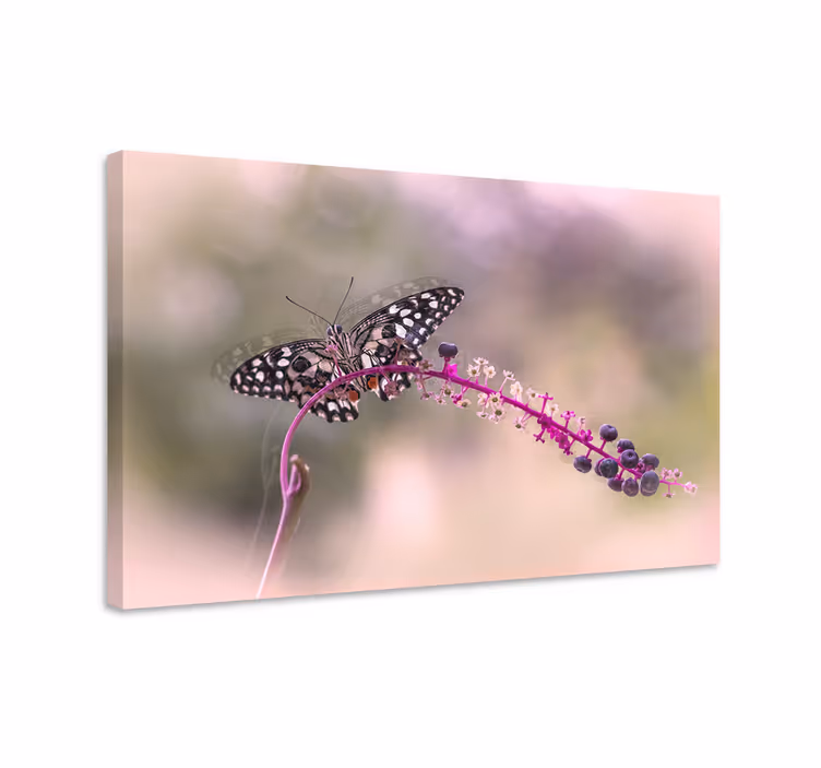 Violetti perhoscanvas-taulu - Tenstickers