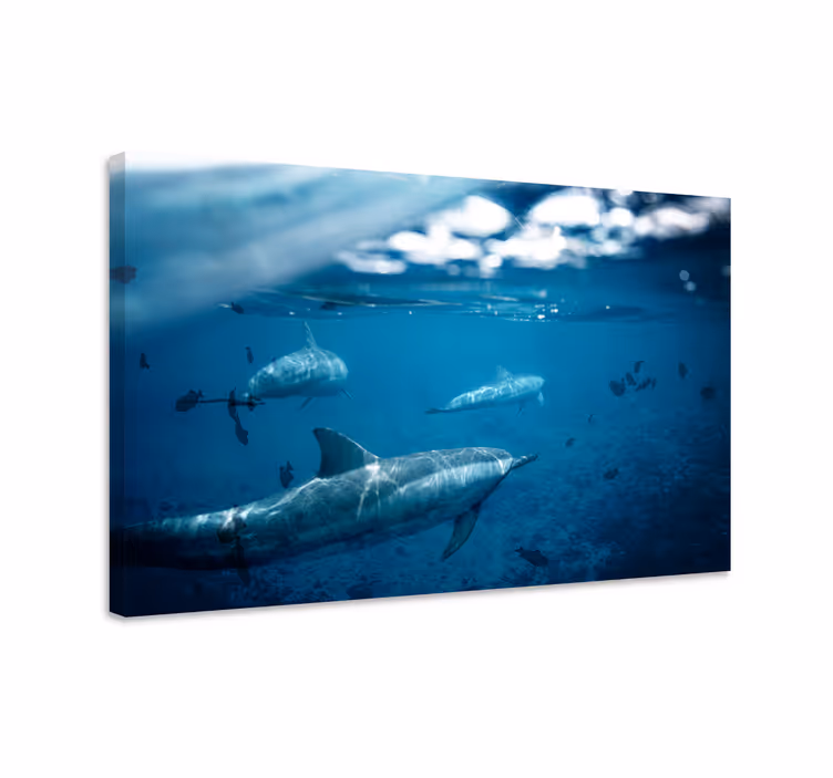 Delfiinit ja kalat kala canvas taulu - Tenstickers