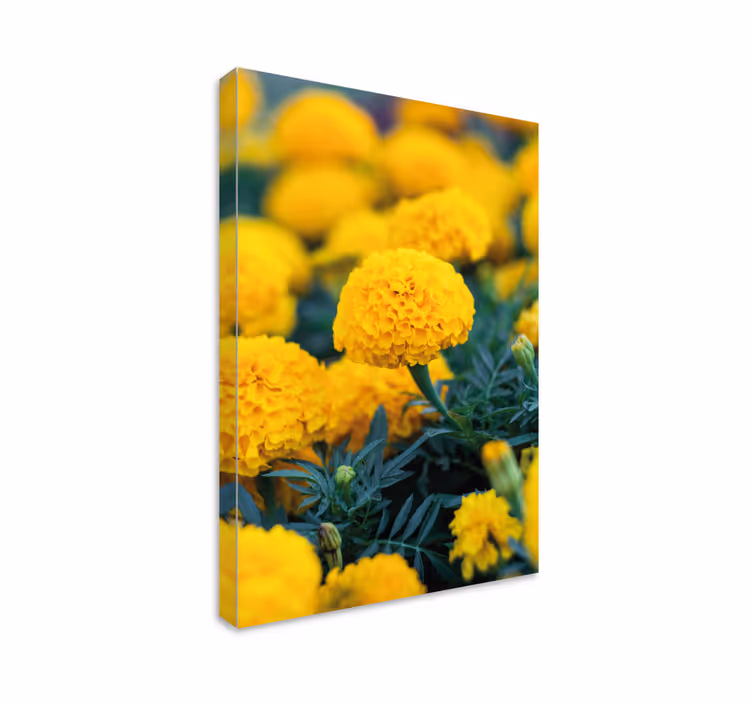 3d rama flores naranjas 3d canvas - Tenstickers