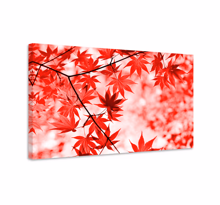 Eloisia punaisia vaahteranlehtiä kukka ja kasvi canvas taulu - Tenstickers