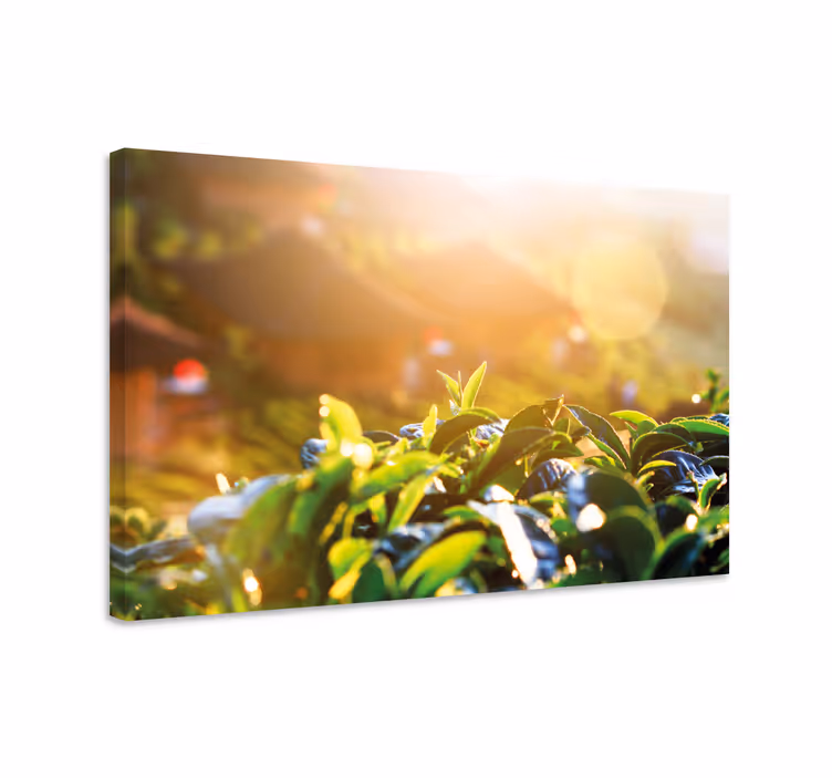 Aurinkoinen sademetsä kasvi canvas - Tenstickers