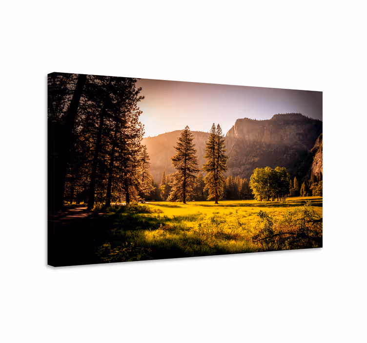 Vuoristomaisema aurinko ruoho canvas taulu maisema - Tenstickers