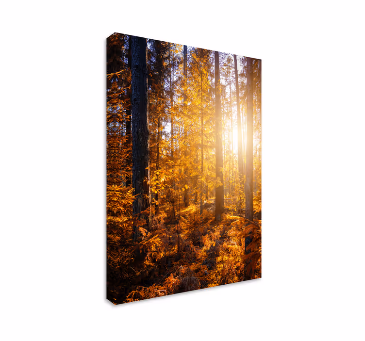 Metsä aurinko puita canvas taulu maisema - Tenstickers