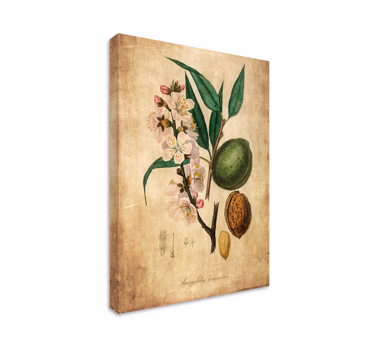 Manteli canvas avioliitto huoneeseen - Tenstickers
