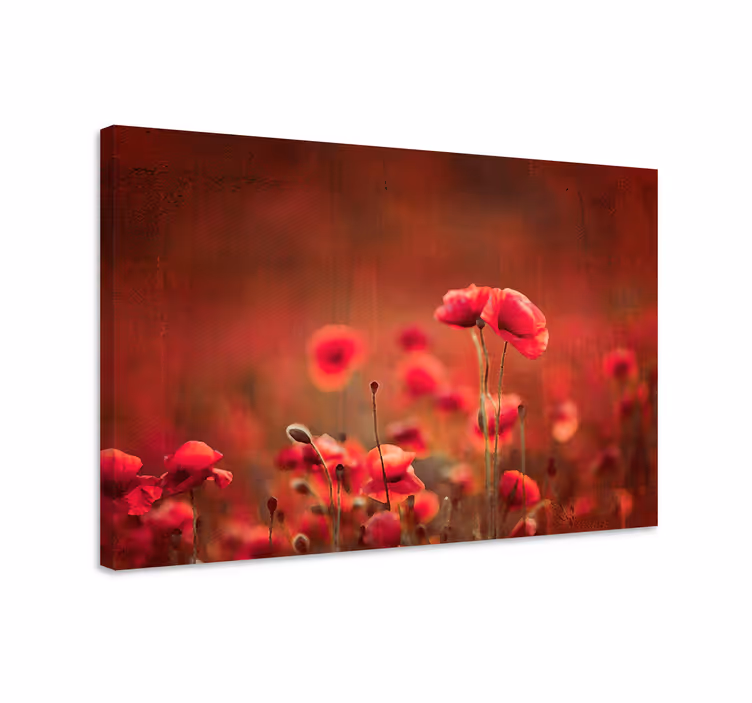 Säteilevä unikoita niitty canvas taulu - Tenstickers