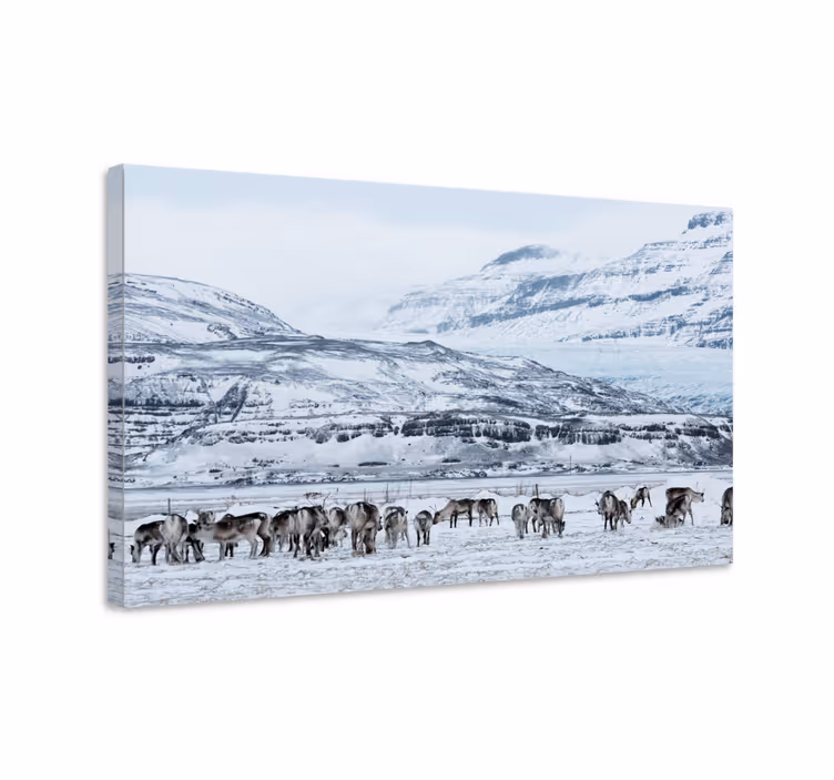 Hirvi luminen maisema peura kangastaulu - Tenstickers