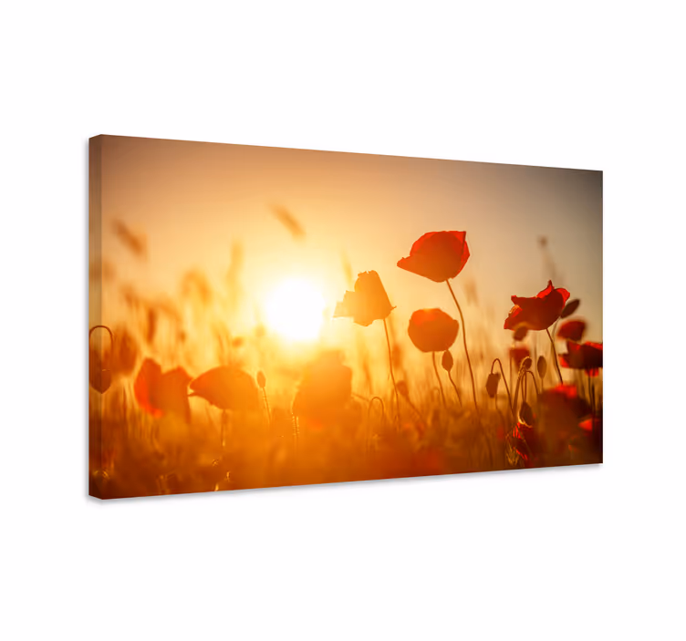 Punaiset kukat auringonlaskun aikaan canvas taulu kukka - Tenstickers
