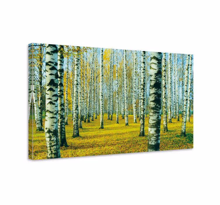 Syksyinen koivumetsä puu canvas taulu - Tenstickers