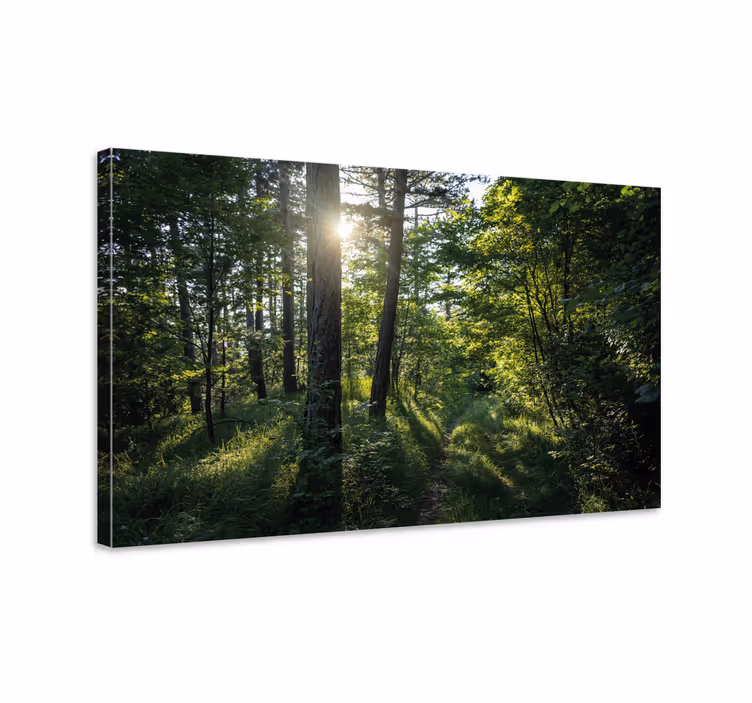 Valaistu metsäpolku maisema canvas taulu - Tenstickers
