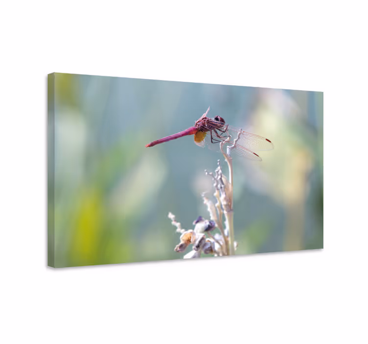 Elegantti sudenkorento levollisesti canvas-taululla - Tenstickers