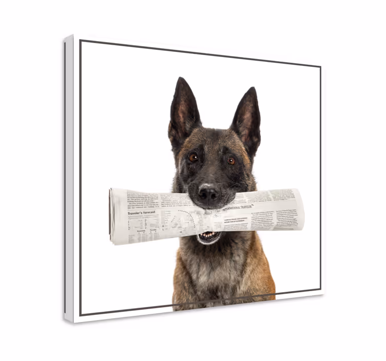 Koira kantaa sanomalehteä canvas-taulu - Tenstickers