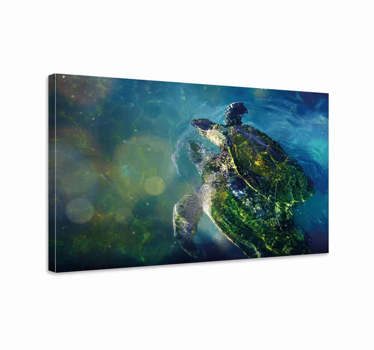 Arvokas merikilpikonna merimies canvas taulu - Tenstickers
