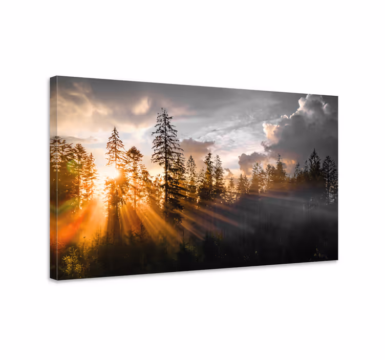 Metsä sumua ja aurinkoa canvas taulu maisema - Tenstickers
