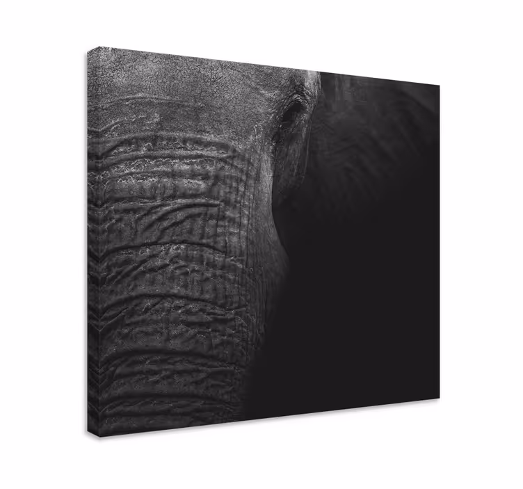 Majesteettinen norsu muotokuva canvas-taulu - Tenstickers