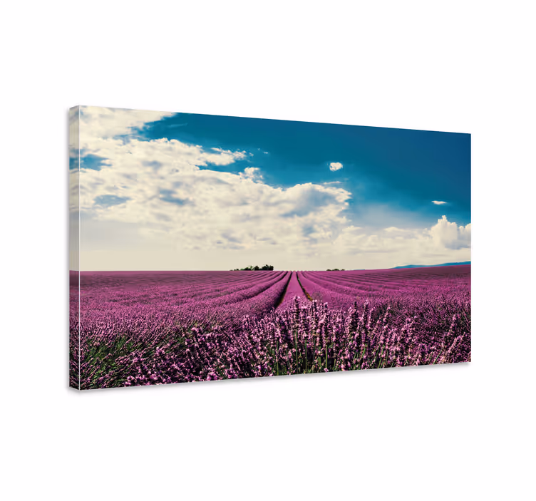 Laventelipelto maisemataulu kukka ja kasvi canvas taulu - Tenstickers