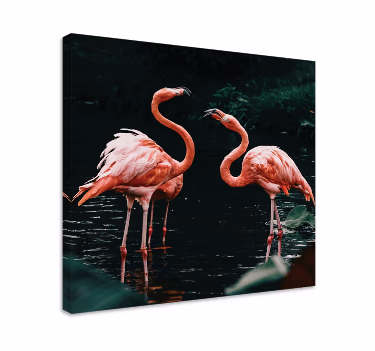 Pari flamingoa Muut eläimet canvas - Tenstickers