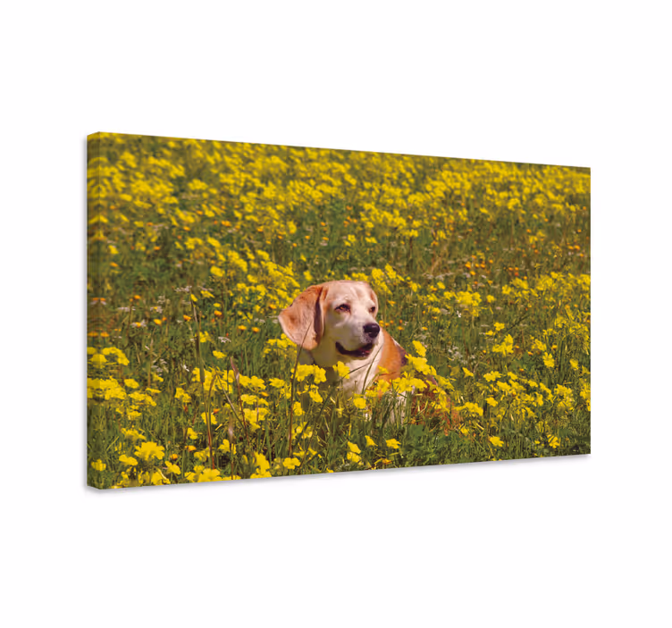 Iloinen koira luonnossa canvas taulu - Tenstickers