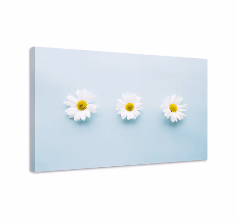 Koiranputkea trio kukka ja kasvi canvas taulu - Tenstickers