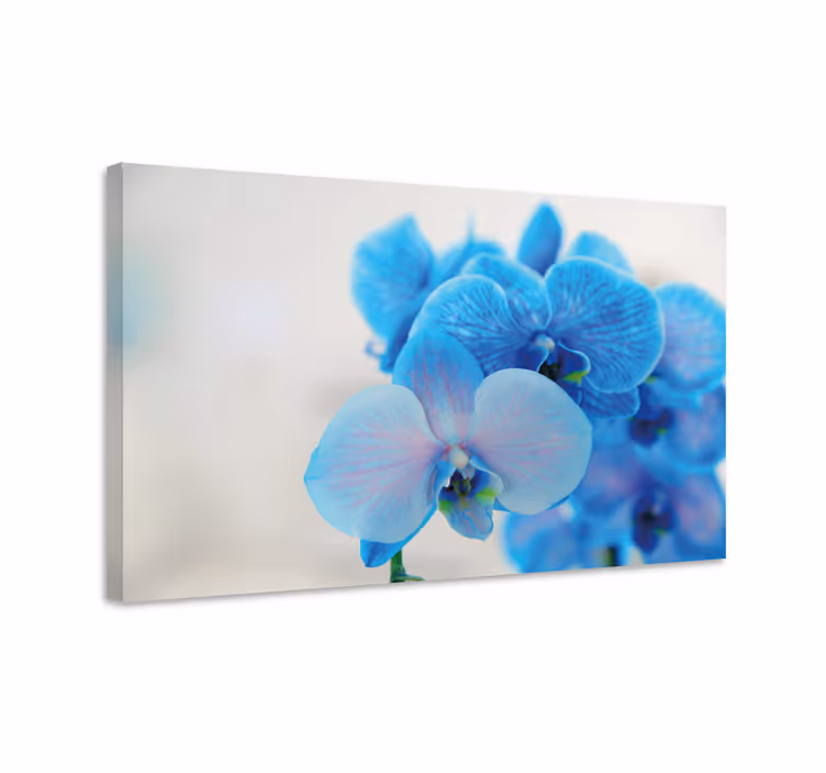Sininen orkidea kukkii canvas-taulu - Tenstickers