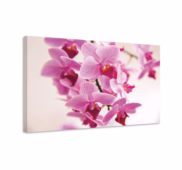 Loistava orkidea kukka canvas taulu kukka - Tenstickers