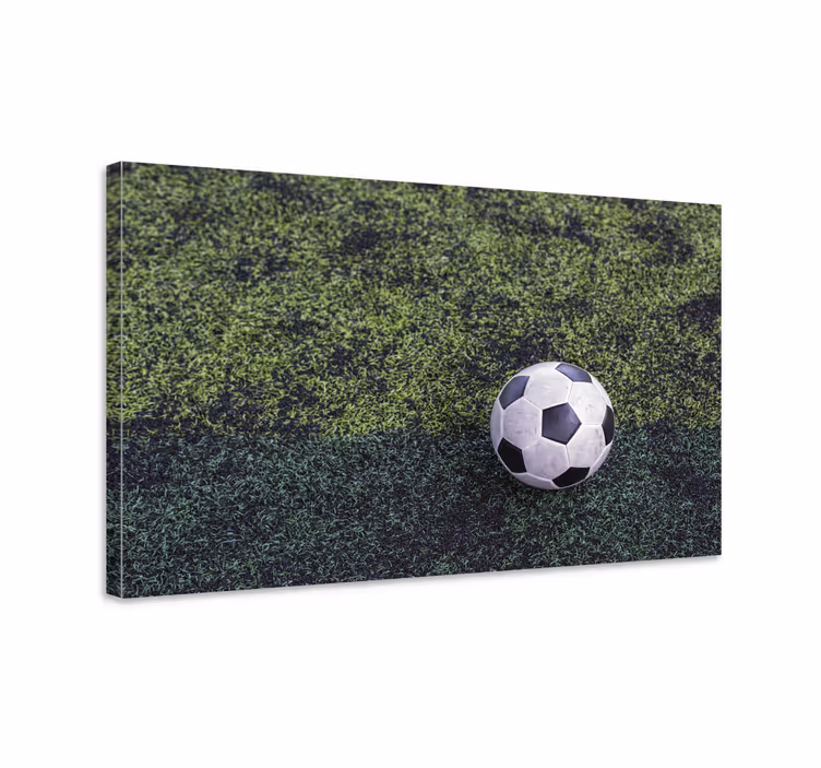 Jalkapallo nurmikolla urheilu canvas taulu - Tenstickers