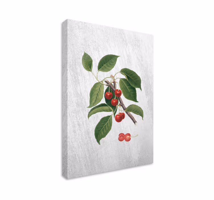 Hapankirsikka tyylikäs puu canvas - Tenstickers