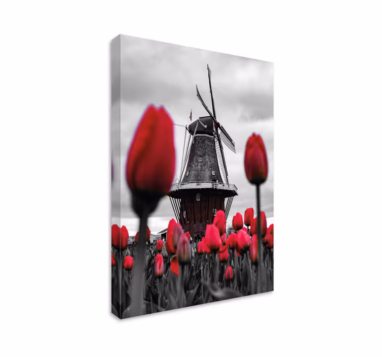 Tuulimylly ja tulppaanit maisema canvas taulu - Tenstickers
