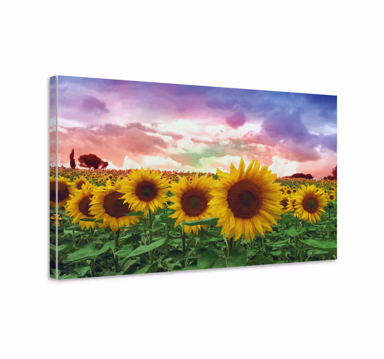 Eloisa auringonkukkakenttä kukka ja kasvi canvas taulu - Tenstickers