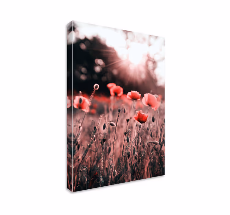 Poppypellon säihkeät kukat ja kasvit canvas-taulu - Tenstickers