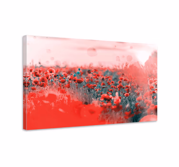 Elävä poppypelto kukka canvas taulu - Tenstickers