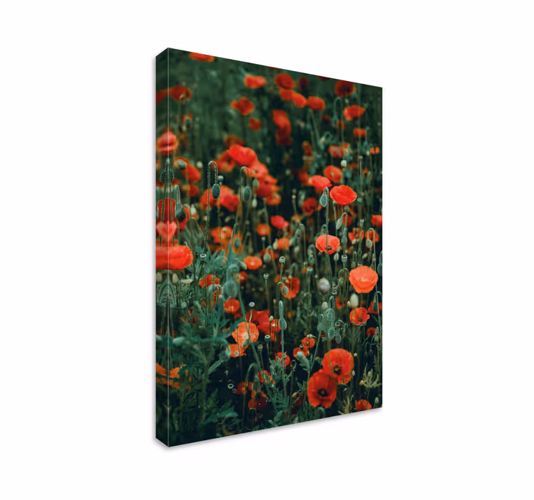 Unikko ja pienet valkoiset kukat canvas taulu kukka - Tenstickers