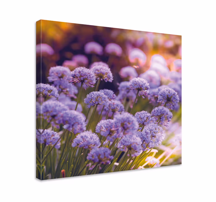 Violetti kukka kenttä canvas taulu kukka - Tenstickers