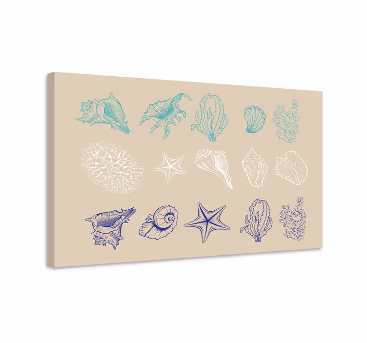 Simpukankuoria Canvas eteiseen - Tenstickers