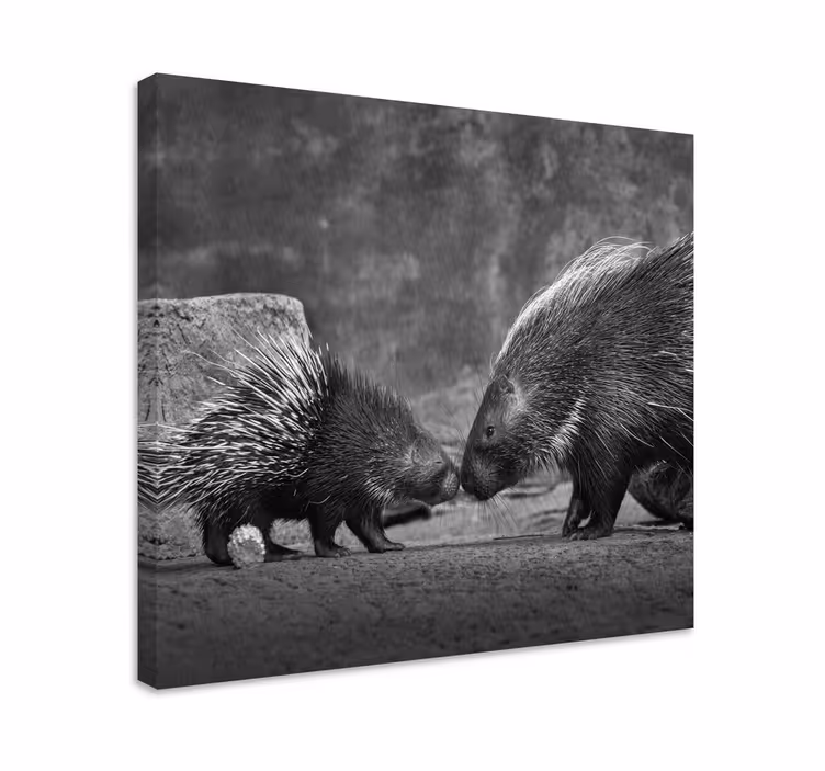 Siili vuorovaikutus eläin canvas taulu - Tenstickers