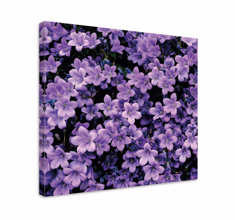 Epämääräiset violetit kukat canvas taulu kukka - Tenstickers