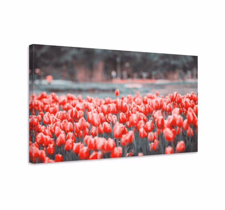 Värikäs tulppaanipelto kukka ja kasvi canvas taulu - Tenstickers